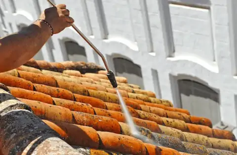 Démoussage de toiture à Cordemais